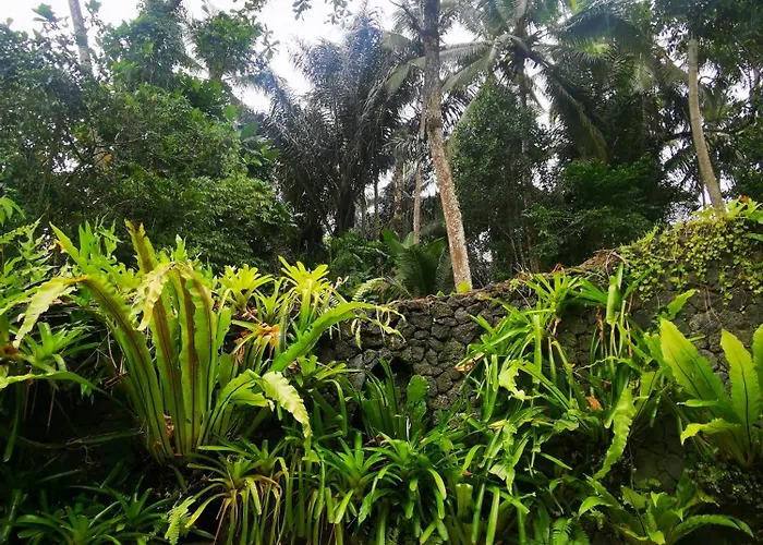 Privatunterkunft Little Jungle Ubud