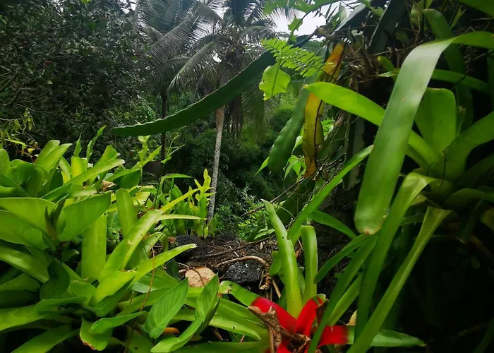Privatunterkunft Little Jungle