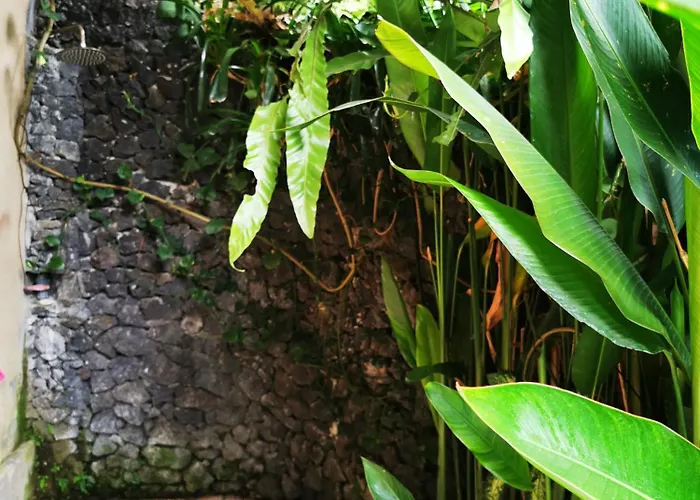 Little Jungle Privatunterkunft