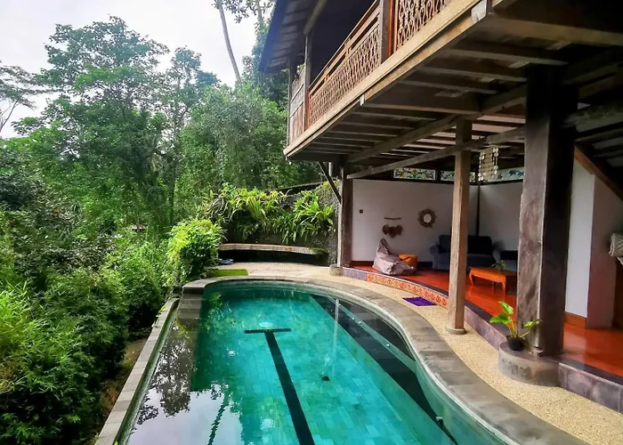 Little Jungle *