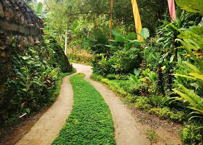 Privatunterkunft Little Jungle
