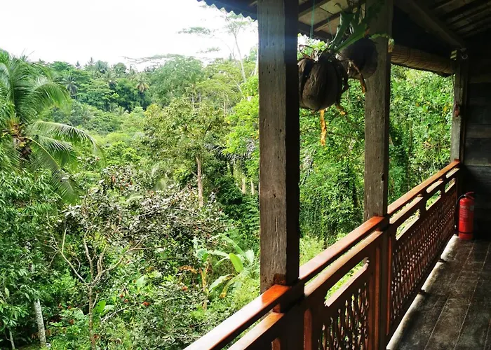 Little Jungle *