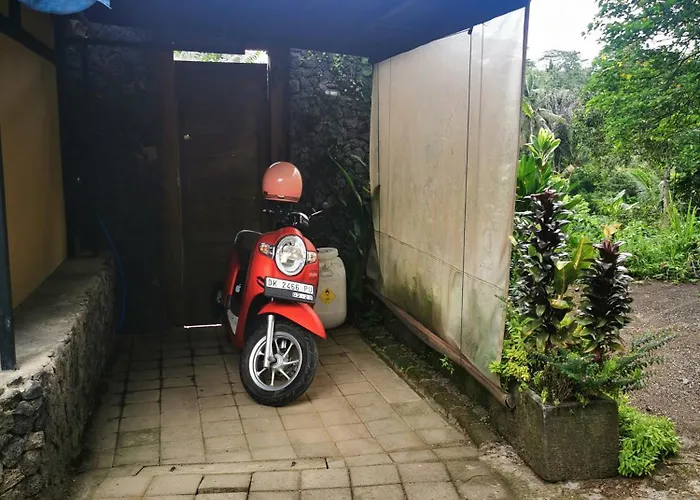 Little Jungle Privatunterkunft *