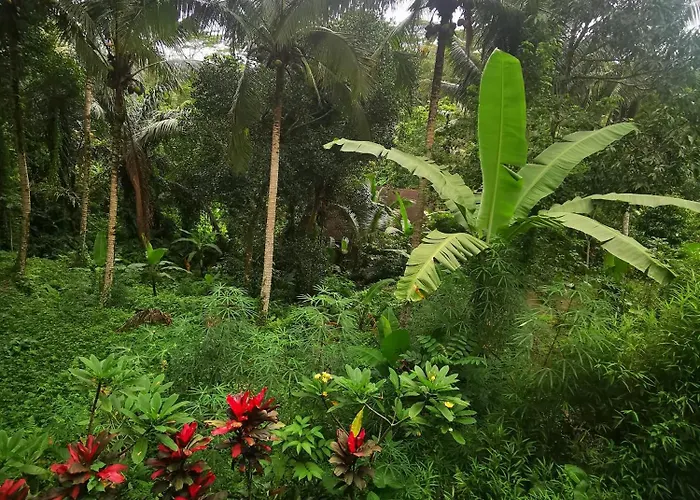 Little Jungle Privatunterkunft Ubud