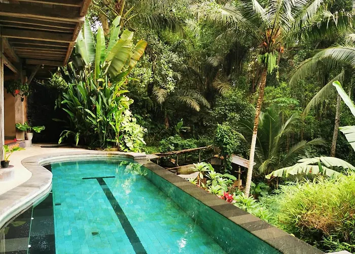 Privatunterkunft Little Jungle Ubud