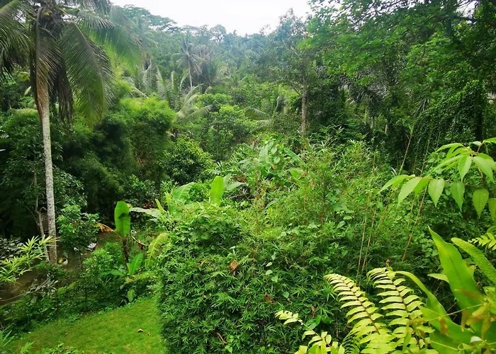 Little Jungle Privatunterkunft