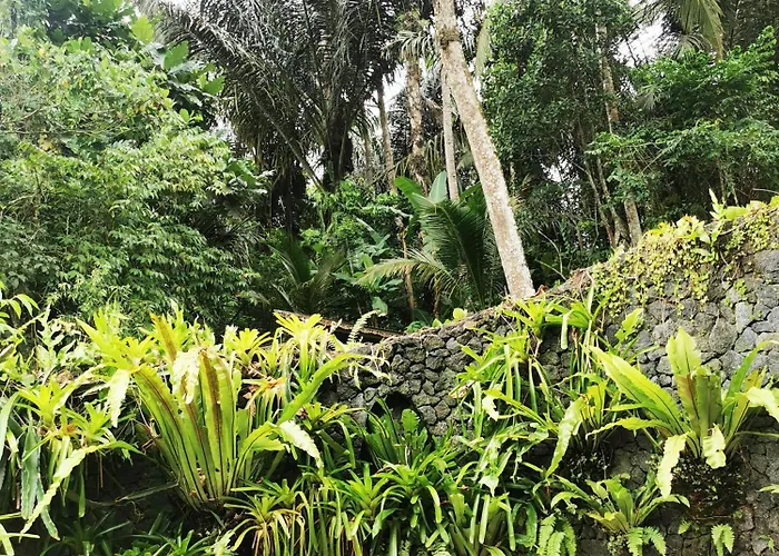Privatunterkunft Little Jungle *